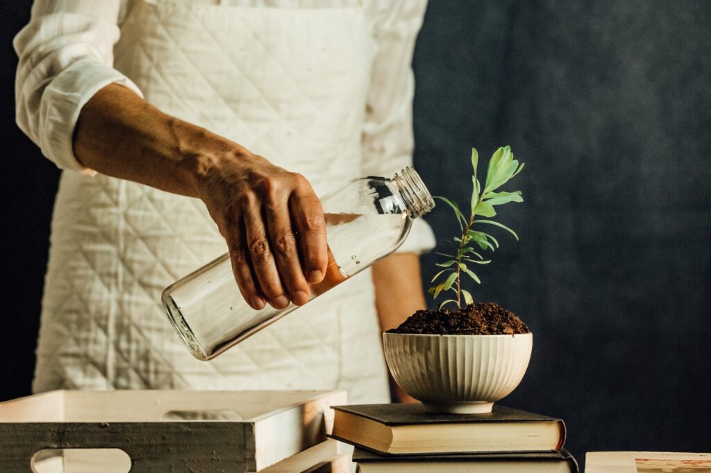 Old woman watering a growing plant over a pile of books, personal growing concept, copy space